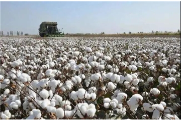 重磅！美方再度